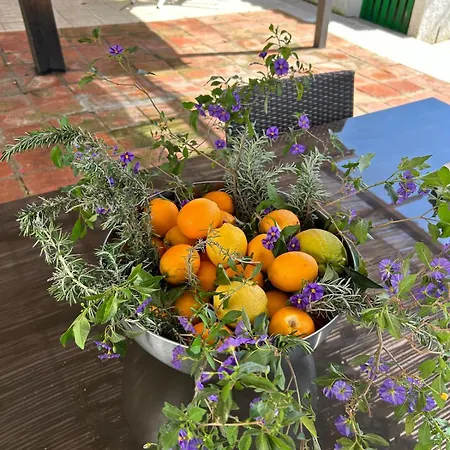 乡村民宿 Tita Sacramento *