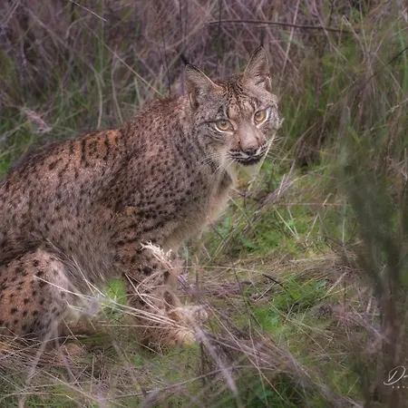 Casa Rural Tita Sacramento Летний дом *