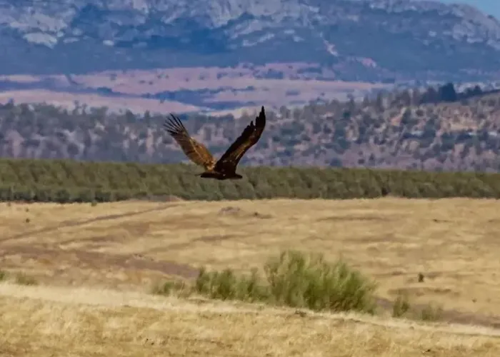 Летний дом Casa Rural Tita Sacramento *