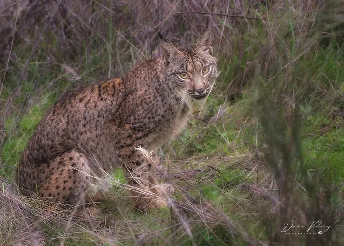 Casa Rural Tita Sacramento Летний дом *